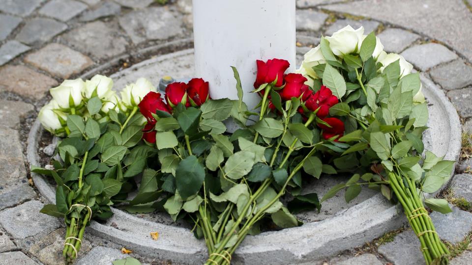 Lenke til artikkel: Sørgeperiode etter kong Haralds bortgang - dette gjelder i Horten